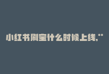 小红书刷宝什么时候上线,**关于小红书刷宝上线时间的详细解析**!-商城24小时自助下单