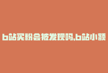 b站买粉会被发现吗，b站小额买粉,标题：关于B站小额买粉的深度解析!-商城24小时自助下单