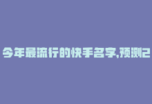 今年最流行的快手名字，预测2024最流行的快手昵称