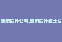 蓝桥软件公司，蓝桥软件推出SaaS服务——新标题：蓝桥软件推出SaaS-商城24小时自助下单