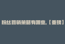 粉丝营销策略有哪些，【重磅】让你秒单的粉丝营销策略-商城24小时自助下单