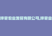 梓豪农业发展有限公司，梓豪业务平台：提升商业竞争力-商城24小时自助下单