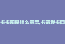 卡卡密是什么意思，卡密发卡网改写标题：在线卡密交易平台-商城24小时自助下单