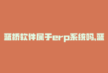 蓝桥软件属于erp系统吗，蓝桥SaaS服务优化建议-商城24小时自助下单