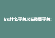 ks什么平台，KS免费平台：团队5人已助你拓展业务-商城24小时自助下单