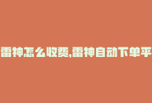 雷神怎么收费，雷神自动下单平台，24小时业务高效处理-商城24小时自助下单