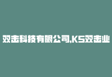 双击科技有限公司，KS双击业务24小时全面解析，助您轻松掌握双击广告的核心技巧-商城24小时自助下单