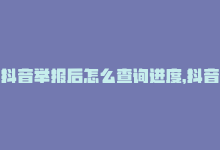 抖音举报后怎么查询进度，抖音举报后续在哪里查看,**关于抖音举报后续查看的详细指南**!-商城24小时自助下单