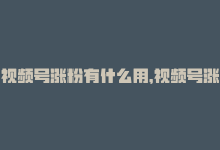 视频号涨粉有什么用，视频号涨粉引流人气,视频号涨粉引流人气——实战问答分享!-商城24小时自助下单