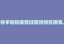 快手涨粉变现过程视频在哪看,**关于快手涨粉变现过程视频的查找与深度解析**!-商城24小时自助下单