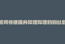 如何快速提升哔哩哔哩的粉丝数量，哔哩哔哩粉丝详细,关于哔哩哔哩粉丝的详细分析：一篇文章解读粉丝群体特性!-商城24小时自助下单