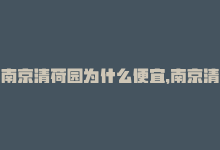 南京清荷园为什么便宜，南京清荷园小区：生活在绿意中-商城24小时自助下单