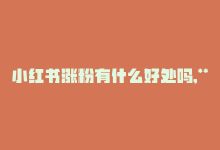 小红书涨粉有什么好处吗,**小红书涨粉能带来哪些好处？一篇深入探讨其优点的问答式文章**!-商城24小时自助下单