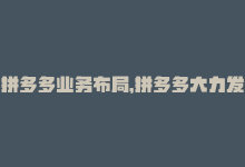 拼多多业务布局，拼多多大力发展新业务，更上一层楼！-商城24小时自助下单